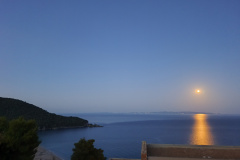 IMG_20260601_053748