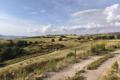 IMG_20260602_180536