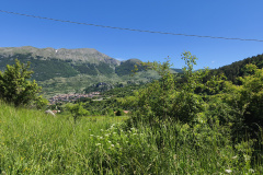 IMG_20260604_103323