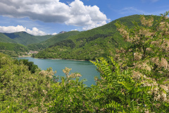 IMG_20260519_110658