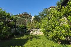 IMG_20260520_081320