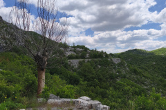 IMG_20260520_130418