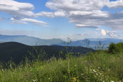 IMG_20260523_085300