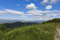 IMG_20260523_085302