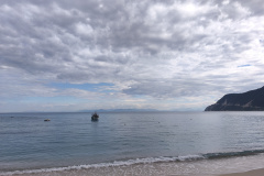 IMG_20260524_085746