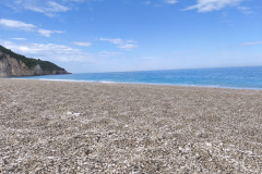 IMG_20260524_100204