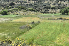 IMG_20260526_124739