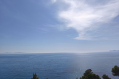 IMG_20260529_164955