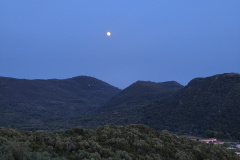 IMG_20260529_211037