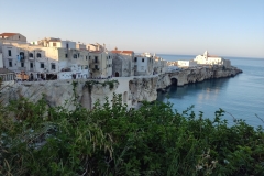 IMG_20220601_191719