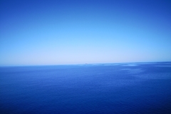 IMG_20220616_095031