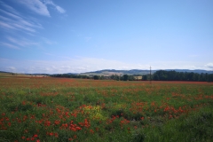 IMG_20220529_094844