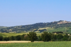 IMG_20220529_094918