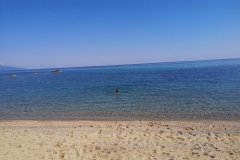 IMG_20210605_100817